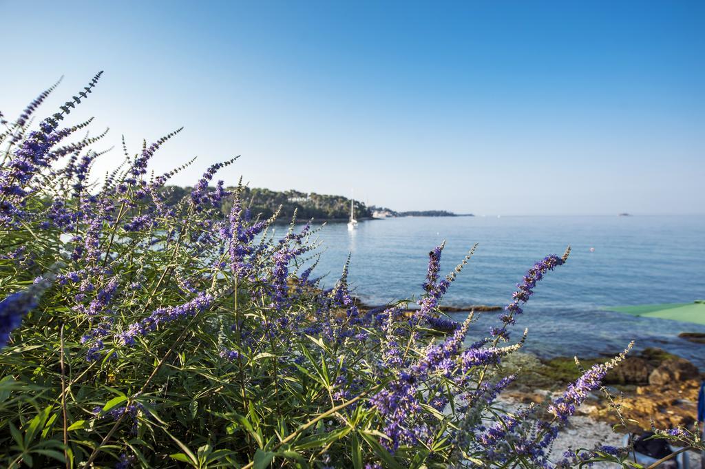 Apartments Anamarija Rovinj Szoba fotó